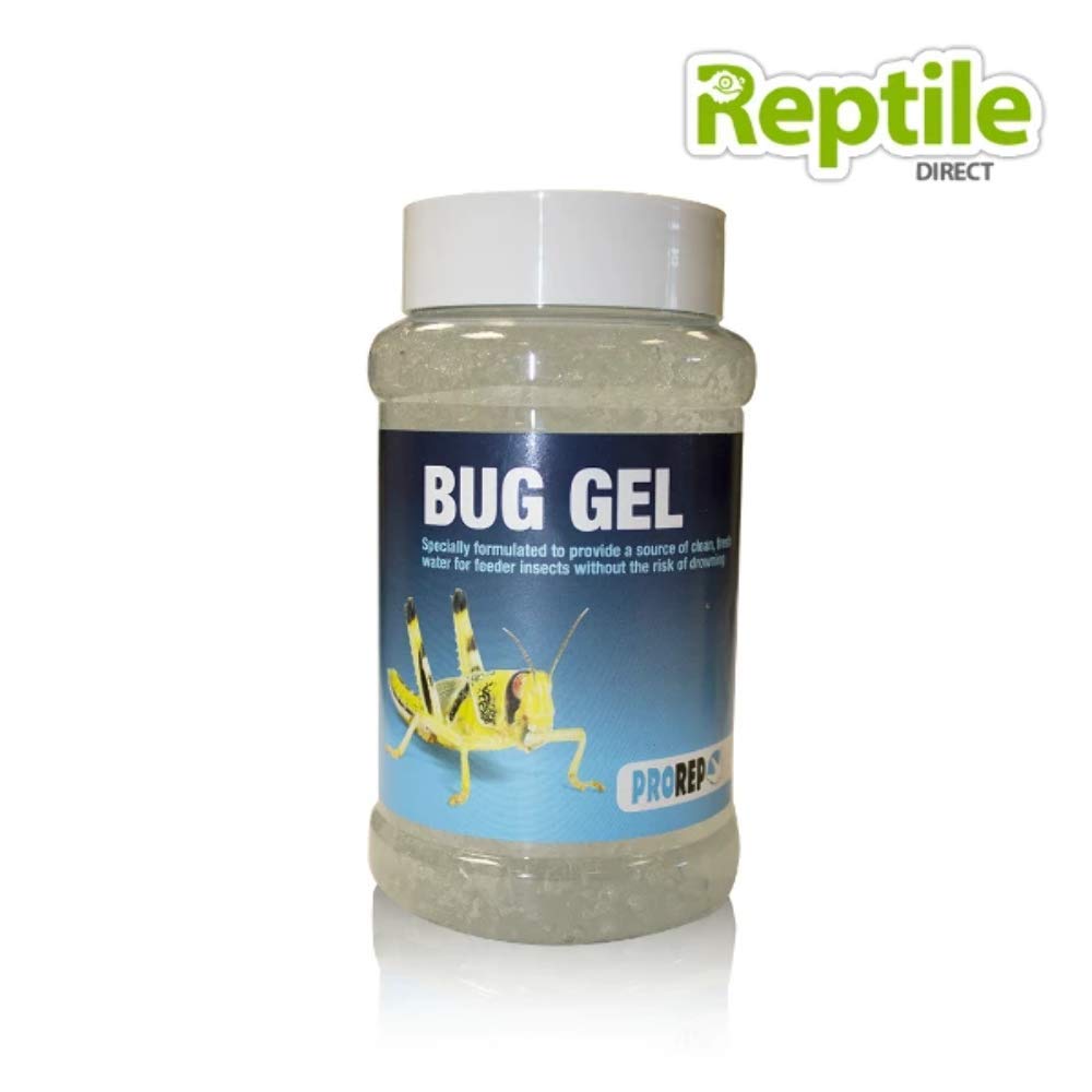 ProRep Bug Gel Jar Pack 500ml, 500 ml (Pack of 1)