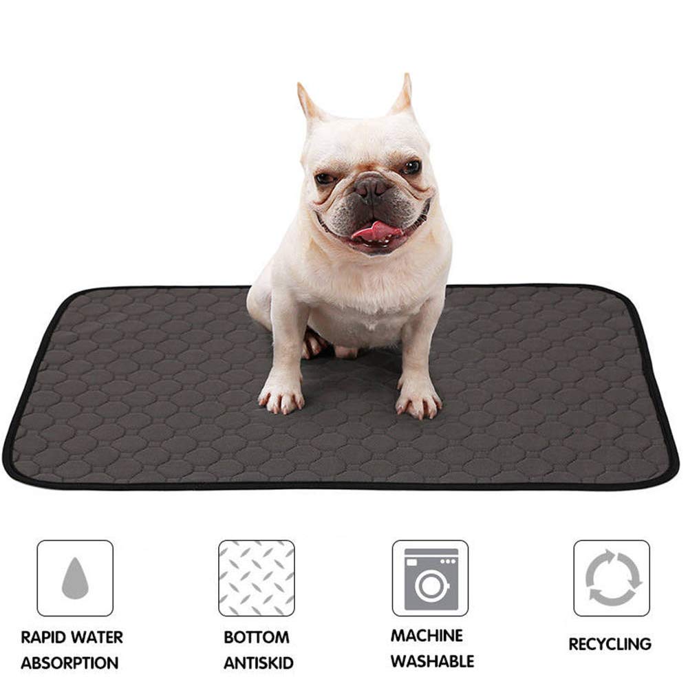 Doglemi Washable Dog Training Pads Reusable Puppy Pee Pad 4-Layer Fast ...