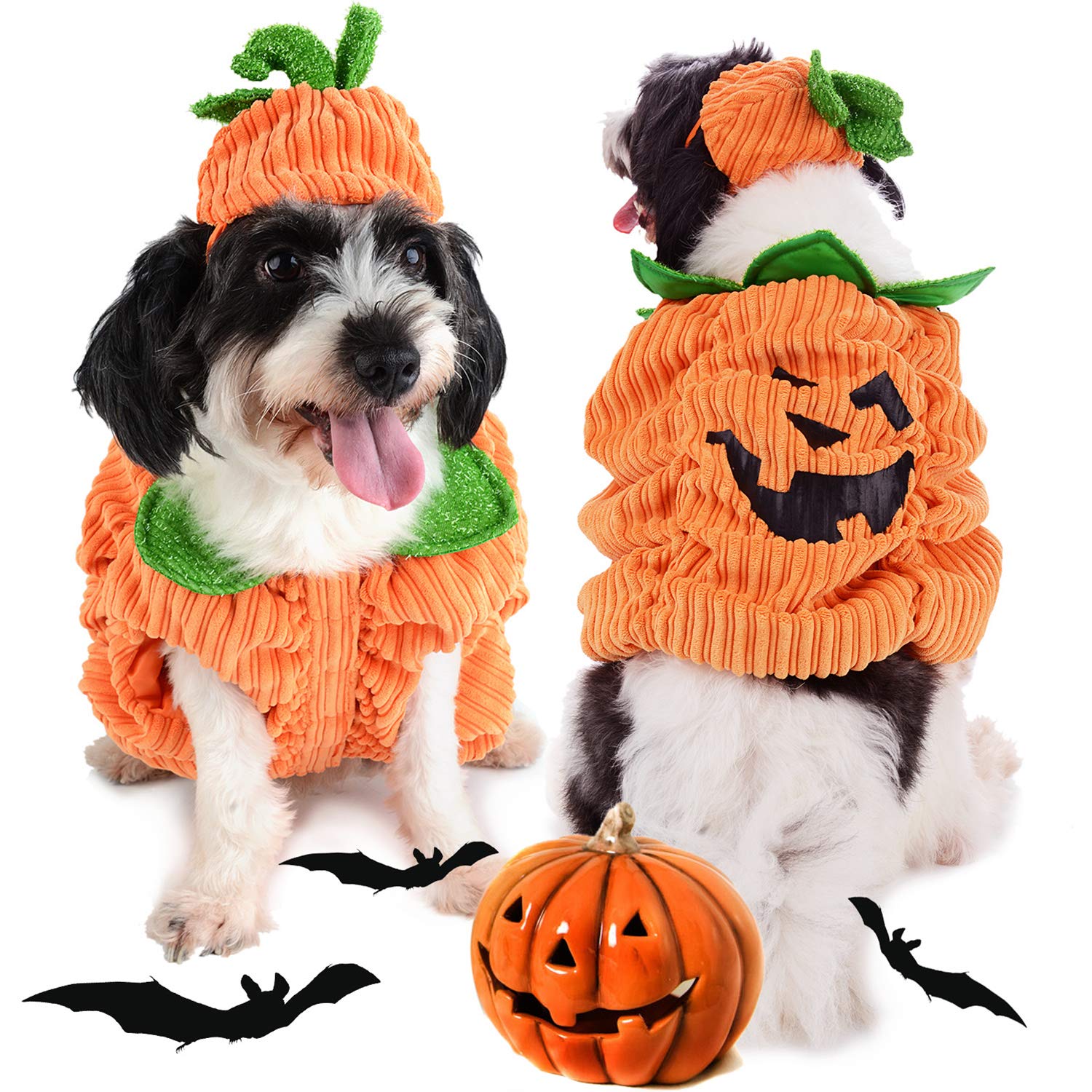 Legendog Dog Halloween Costume,Dog Halloween Costume with Pumpkin Hat