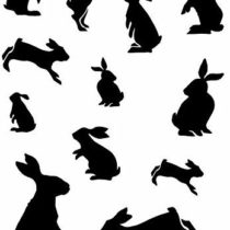 Card-io Cottontail Capers Clear Stamp Set, 16.3x8.4x0.3 cm