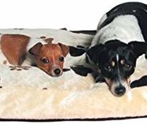 Gino Plush Bed Beige 60cm x 40cm