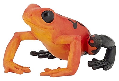 Papo Equatorial Red frog, Papo 50193 Equatorial Red Frog, Multicolour, 1