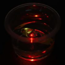 Fishing Lure Light LED Deep Drop Underwater Eye Fish Attractor Lure Light Flashing Lamp For Fishing(Red)