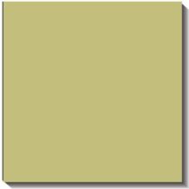 Bazzill Basics Paper 25 ScrapBooking Sheets Canvas Texture, Aloe Vera