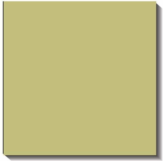 Bazzill Basics Paper 25 ScrapBooking Sheets Canvas Texture, Aloe Vera