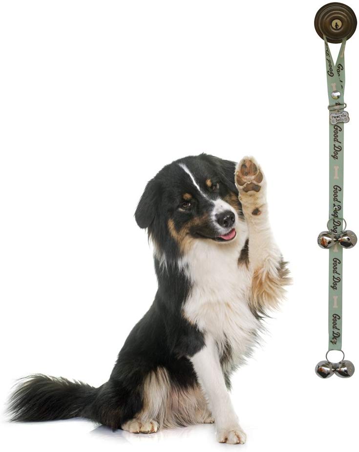 PoochieBells the Original & Trusted Housetraining & Potty Time Dog Doorbell for Loving Dog Families Since 2005. A clear - Image 3