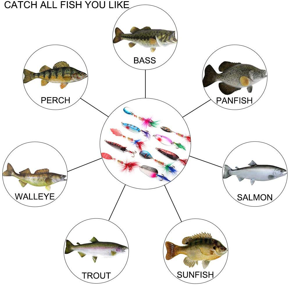 Dr 30 Fishing Spinner Lures Kit Toby Spoon Set for Trout Pike Mackerel