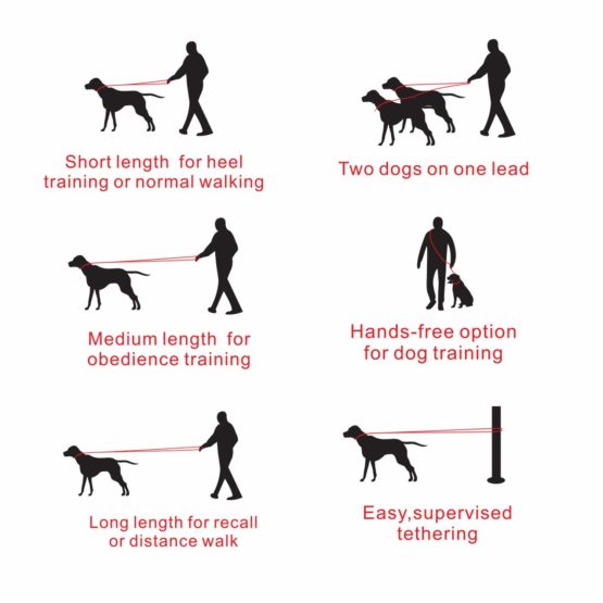 Dog Lead, Hands Free Dog Leash,Multifunctional Dog Rope Training Leads for Running Walking Hiking, adjustable to 4 different lengths Nylon Double Running Lead for Small, Medium or Large Dogs - Image 3