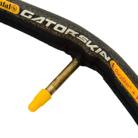 Continental Sprinter GatorSkin Road Tire - Image 3