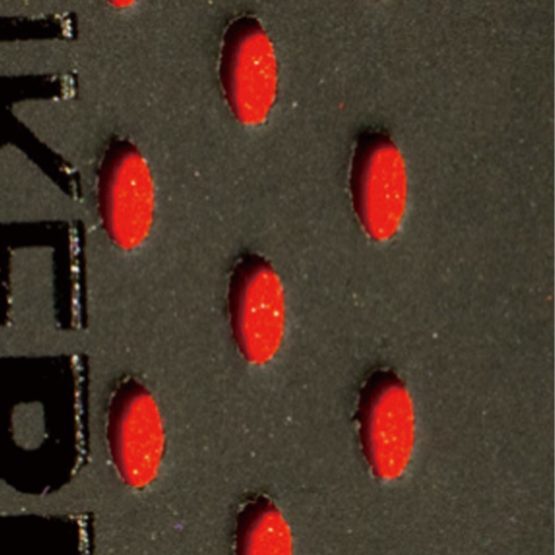 Bike Ribbon Unisex Drops - Image 2