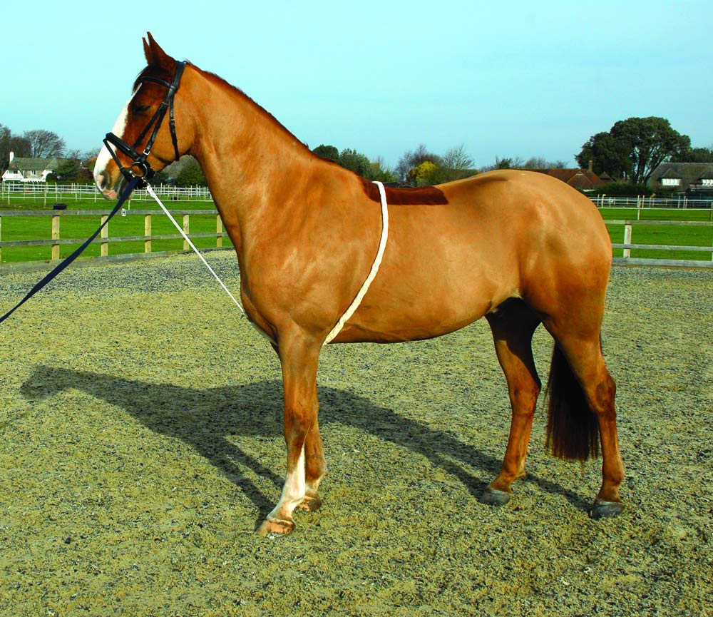 Rhinegold Soft Lunge Aid,White