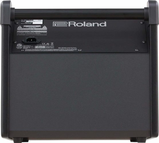 Roland Pm-100 Personal Drum Monitor, 80 Watts of Power - Image 3