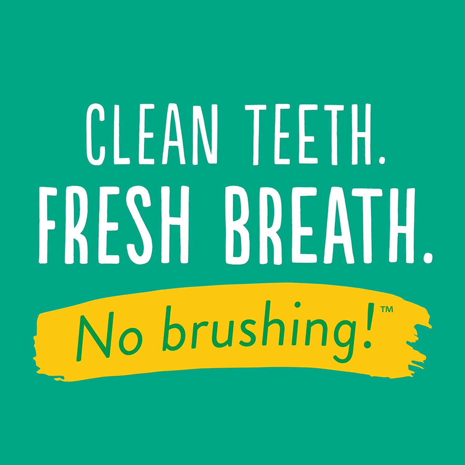 TropiClean Fresh Breath Dog Teeth Cleaning Gel, No Brushing Dental Care, Breath Freshener Oral Care - Image 4