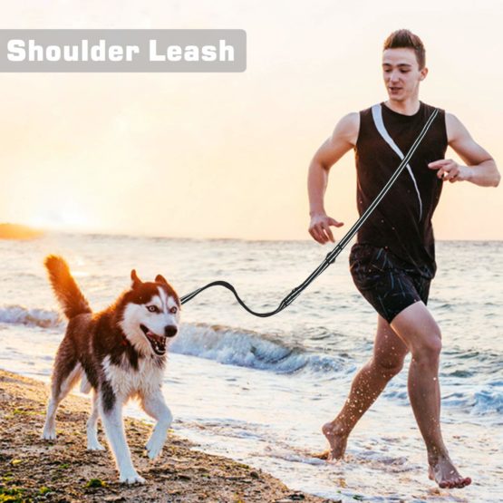 Dog Lead, Hands Free Dog Leash,Multifunctional Dog Rope Training Leads for Running Walking Hiking, adjustable to 4 different lengths Nylon Double Running Lead for Small, Medium or Large Dogs - Image 4