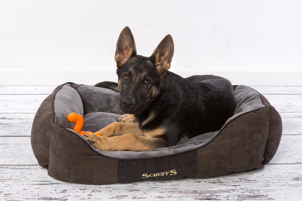 Scruffs Chester Box Bed (XL) Graphite, 90 x 70 x 20 cm (L x W x H) - Image 4