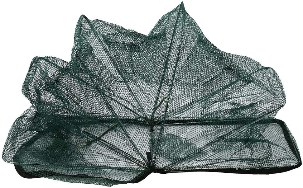 Dilwe Fishing Net, Quickly Opened Fishing Bait Traps with Zipper for Fishes Shrimp Minnow Crayfish Crab Crawdad (6 Holes) - Image 2