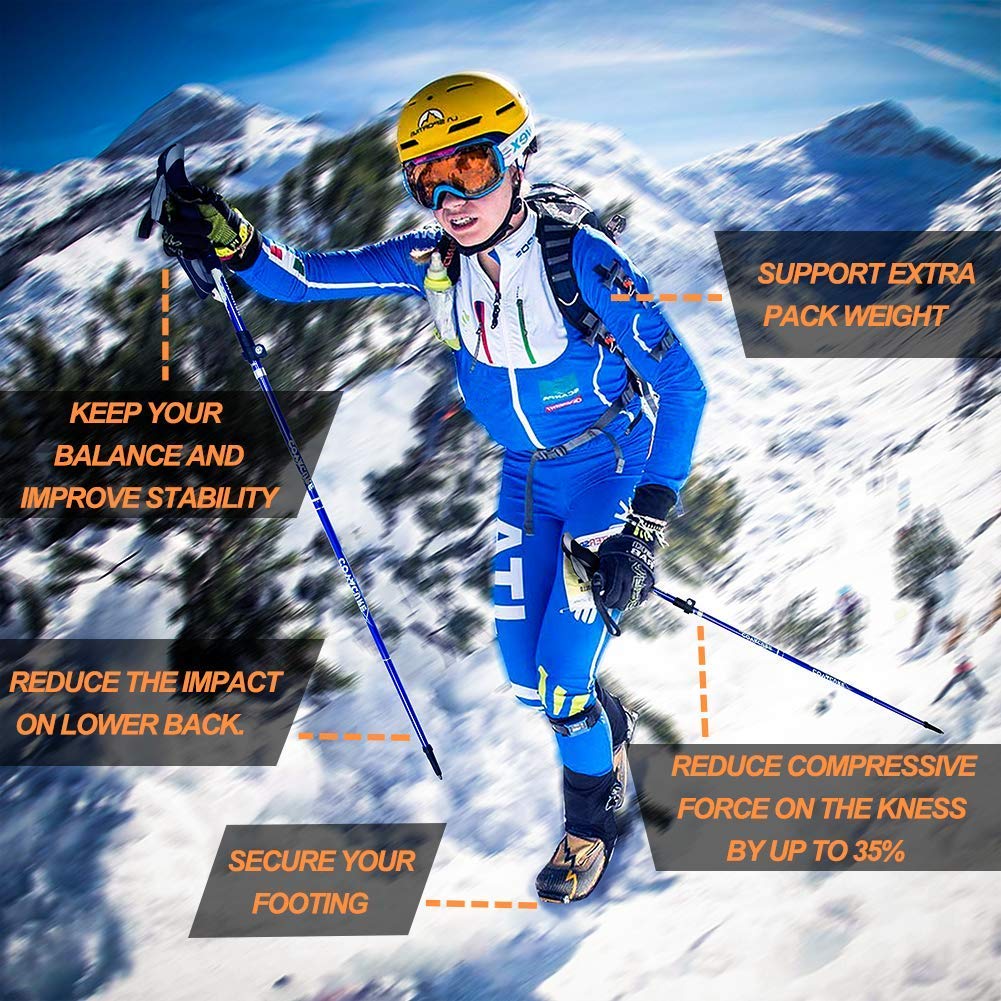 COVACURE Walking Poles - Image 2