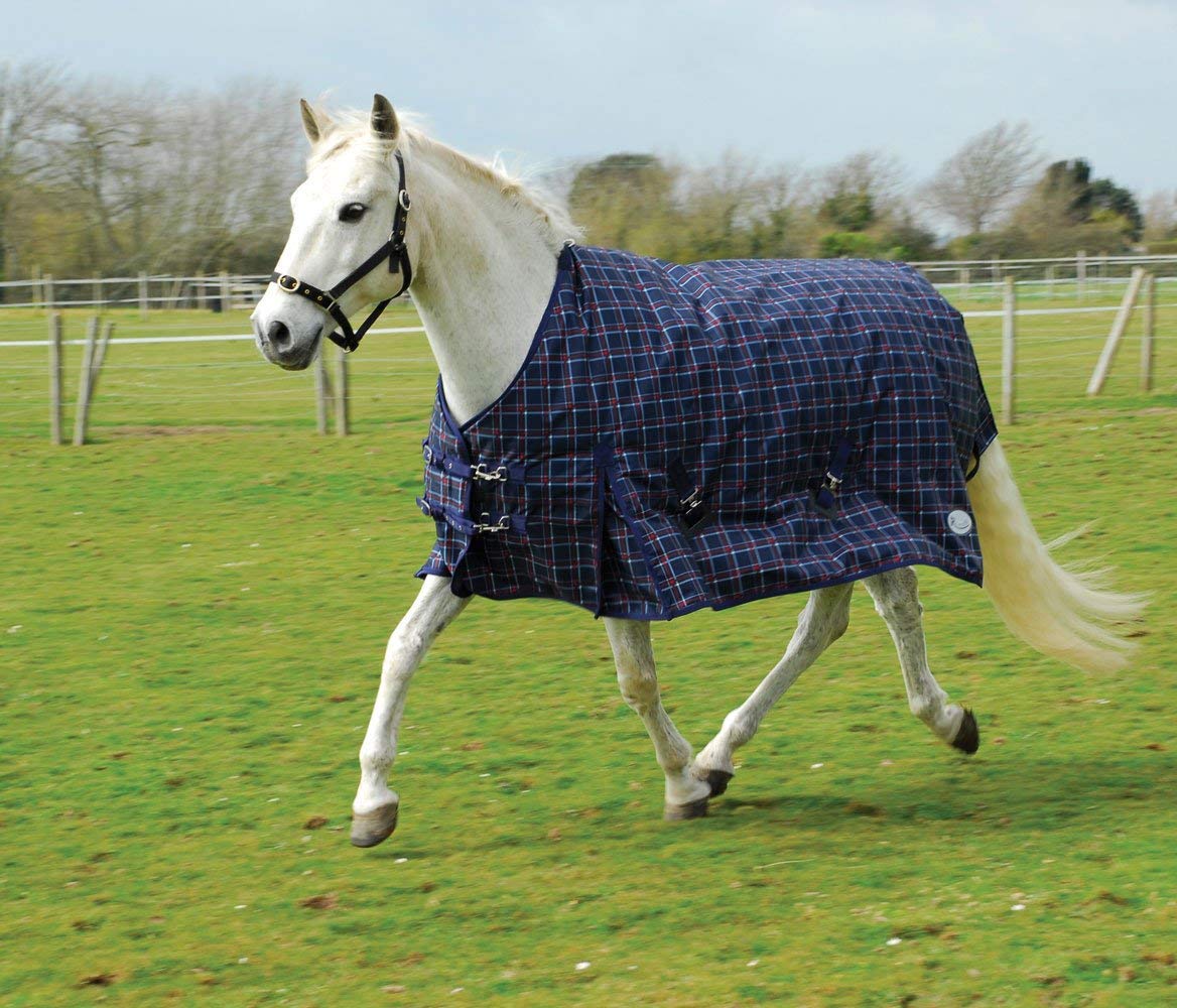 Rhinegold Zeus Outdoor Rug - Heavyweight 350gsm polyfill, Blue Check, 5'3"