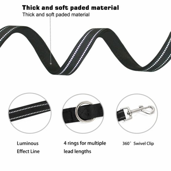 Dog Lead, Hands Free Dog Leash,Multifunctional Dog Rope Training Leads for Running Walking Hiking, adjustable to 4 different lengths Nylon Double Running Lead for Small, Medium or Large Dogs - Image 2