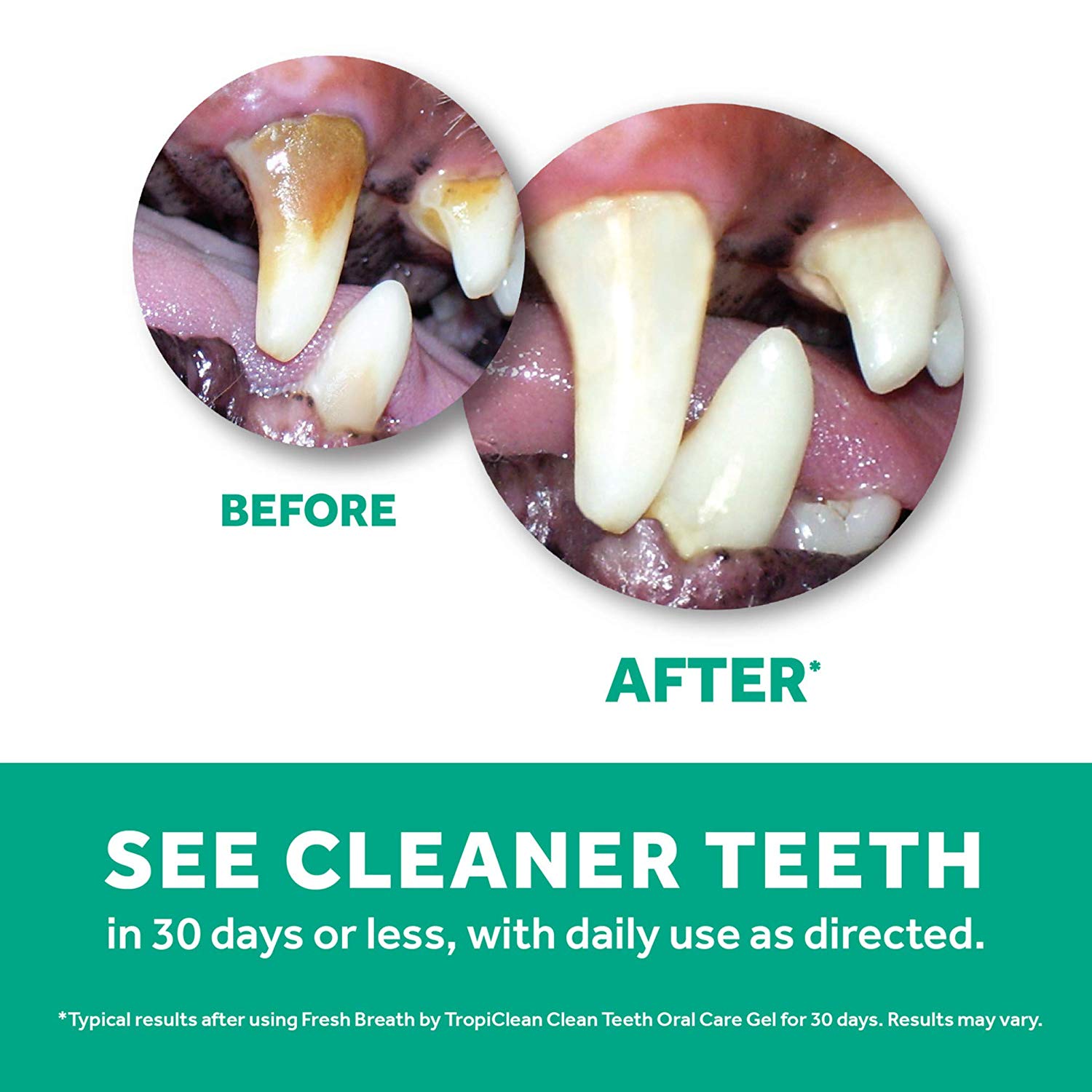 TropiClean Fresh Breath Dog Teeth Cleaning Gel, No Brushing Dental Care, Breath Freshener Oral Care - Image 3