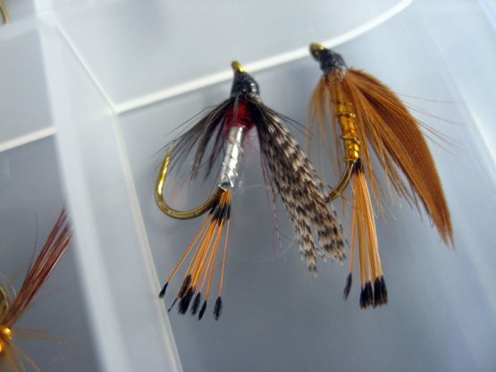 BestCity Fly Fishing for Trout BARBLESS MIXED SEASON SELECTION 20 Flies in set DRY WET NYMPH FREE Clip shut Fly Box - Image 2