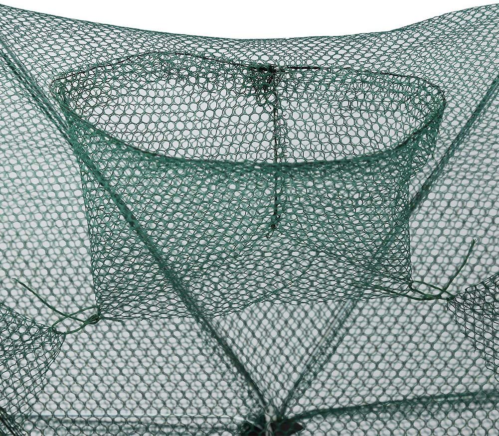 Dilwe Fishing Net, Quickly Opened Fishing Bait Traps with Zipper for Fishes Shrimp Minnow Crayfish Crab Crawdad (6 Holes) - Image 3