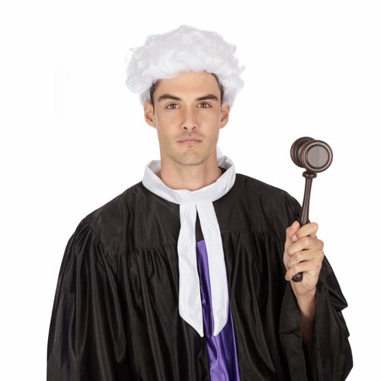 Bristol Novelty BW353 Court Unisex Wig Budget, One Size - Image 3