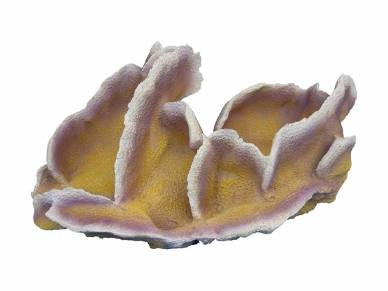 Haquoss Aquarium Decor Ornament Pocillopora 4, 28.5X17.5X13H cm
