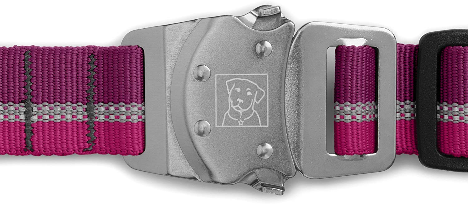 Ruffwear Dog Collar with Metal Clasp, Medium Sized Breeds, Adjustable