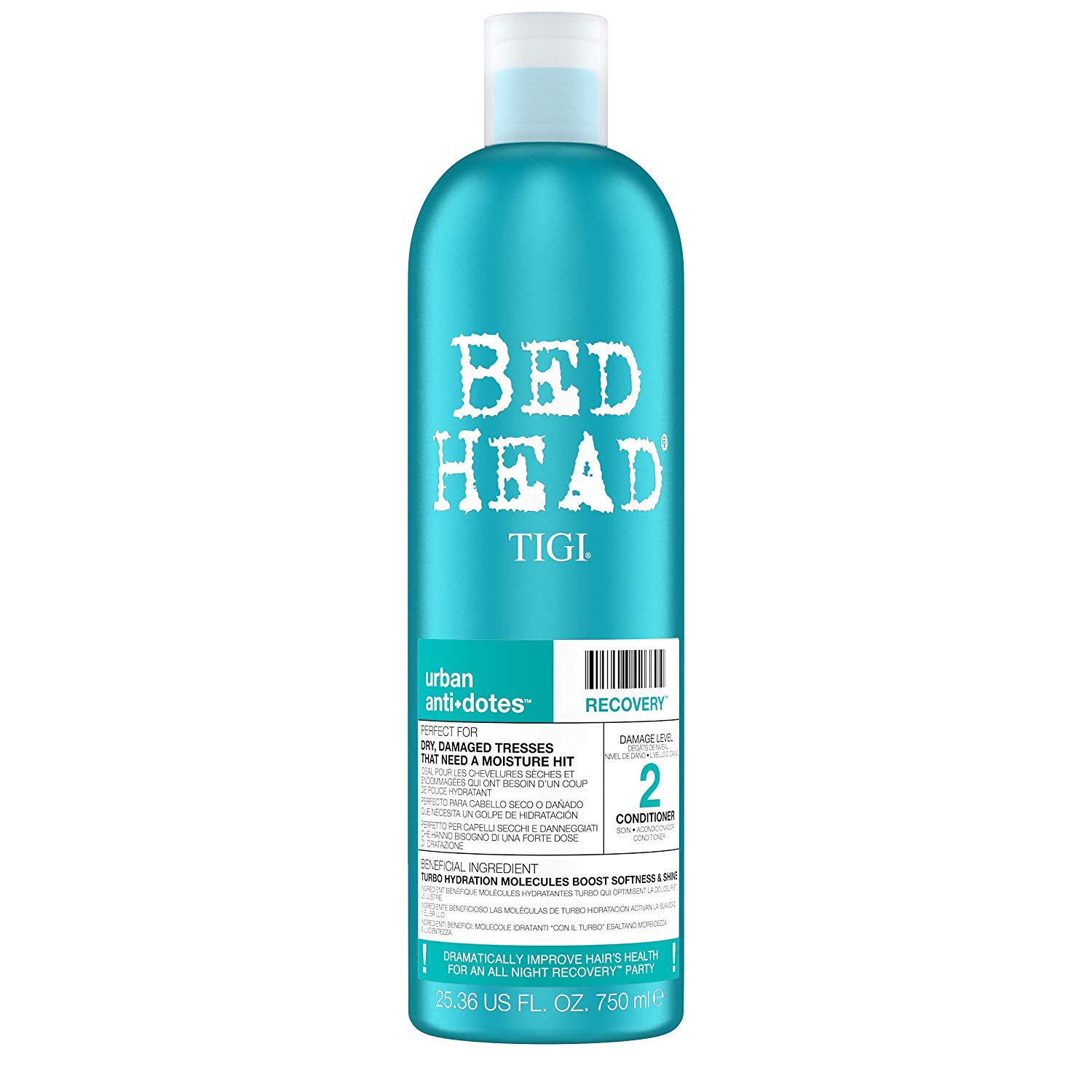 Bed Head by Tigi Urban Antidotes Recovery Moisture Shampoo and