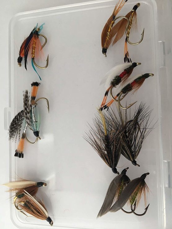 BestCity Fly Fishing Box of Large Wet Seatrout - Sewin flies pack of 30 flies size 6 - Image 3