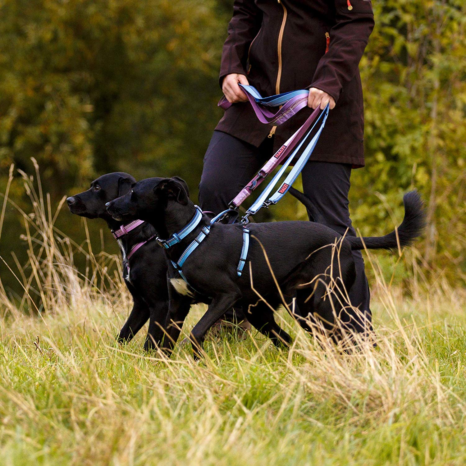 HALTI Double-Ended Lead for Dogs Size Large, Black, 2m, Best Premium Puppy & Dog Leash, Neoprene-Padded, Easy to Use - Image 4