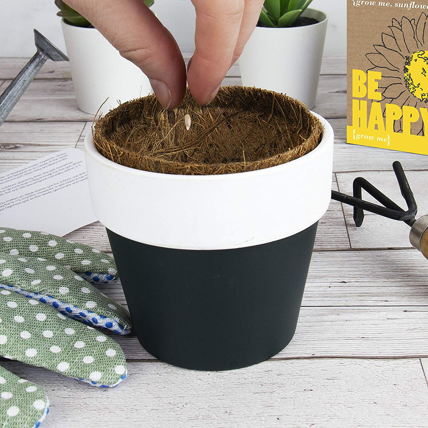 Gift Republic GR130011 Grow Me Money Does Grow On Trees, 7.0 cm*9.0 cm*8.5 cm, Multi - Image 2