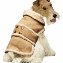 Pistachio Pet - Faux Suede Shearling Dog Coat (XS)