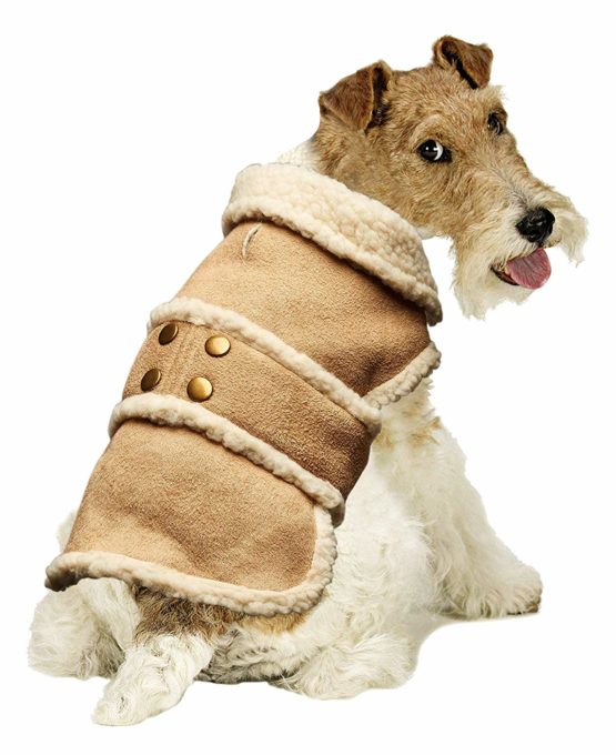 Pistachio Pet - Faux Suede Shearling Dog Coat (XS)