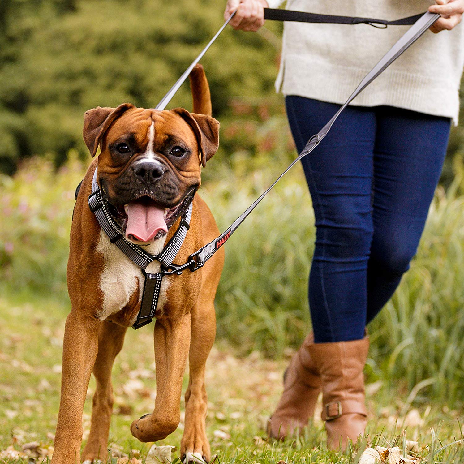 HALTI Double-Ended Lead for Dogs Size Large, Black, 2m, Best Premium Puppy & Dog Leash, Neoprene-Padded, Easy to Use - Image 3