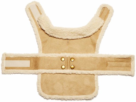 Pistachio Pet - Faux Suede Shearling Dog Coat (XS) - Image 4