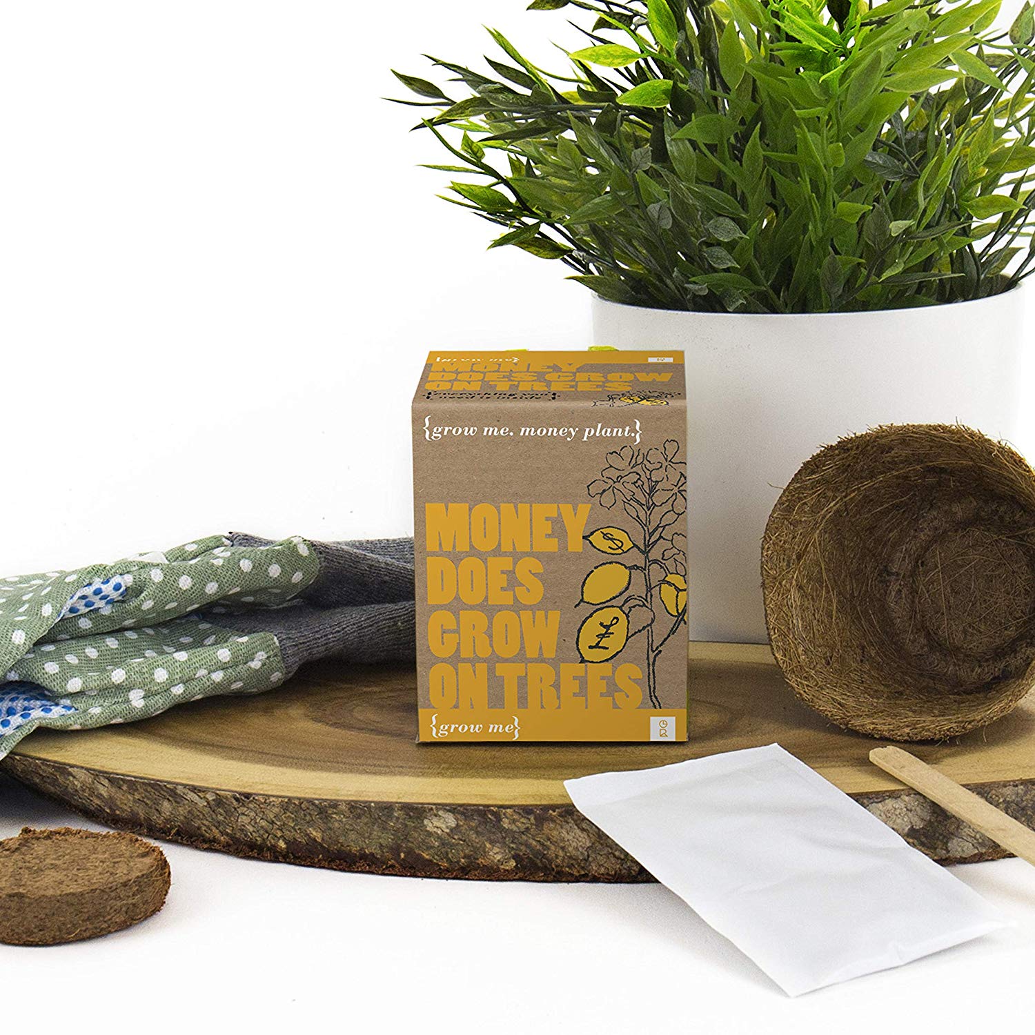 Gift Republic GR130011 Grow Me Money Does Grow On Trees, 7.0 cm*9.0 cm*8.5 cm, Multi
