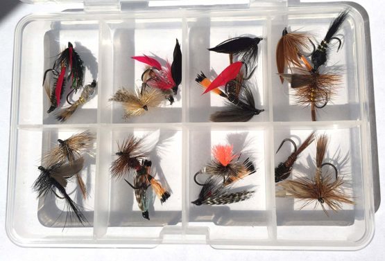 BestCity Fly Fishing for Trout BARBLESS MIXED SEASON SELECTION 20 Flies in set DRY WET NYMPH FREE Clip shut Fly Box