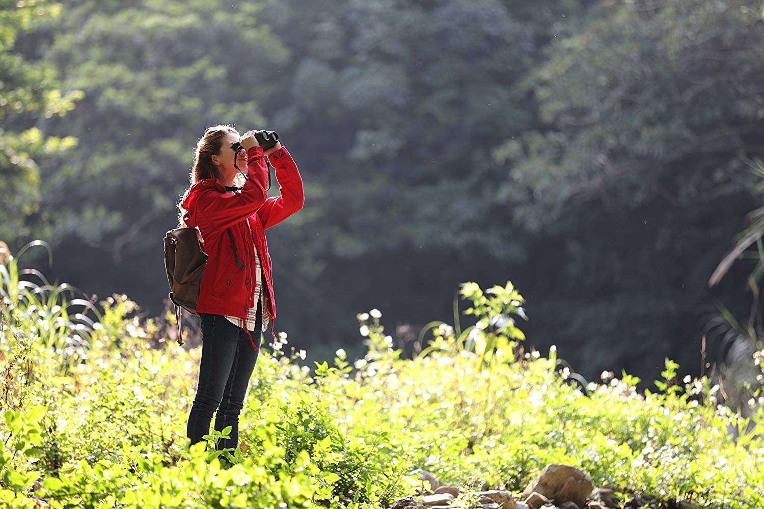 Canon 12x32 IS Portable Travel Binoculars, 12x Magnification, Image Stabilisation, Compact, Lightweight Design - Image 4