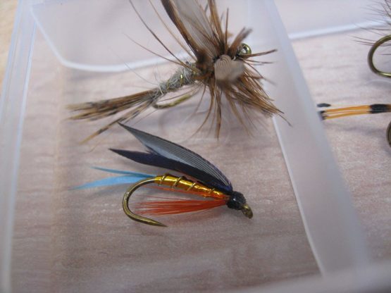 BestCity Fly Fishing for Trout BARBLESS MIXED SEASON SELECTION 20 Flies in set DRY WET NYMPH FREE Clip shut Fly Box - Image 3