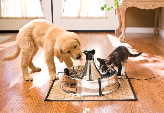 PetSafe Adjustable 360 Stainless Steel Pet Fountain, Drinking Fountain for Cats and Dogs, No Splash or Spills, Drinkwell - Image 4