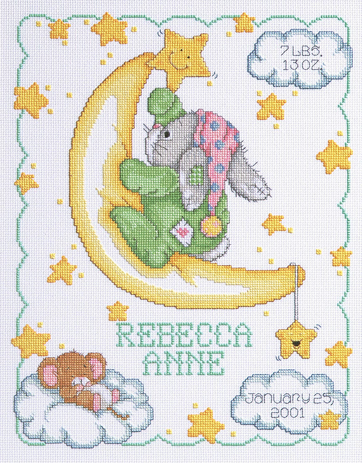 Janlynn 063-0102 1-Piece Crescent Moon Birth Announcement Counted Cross Stitch Kit - White, 11 x 14 inches